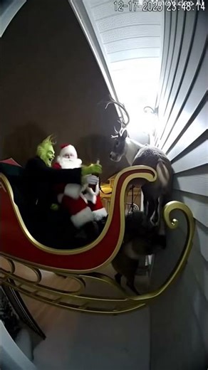 X Music ❤️️ Listen now..