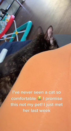 Im in disbelief at how much this cat likes me 😭 I’ve never had a cat in my 25years