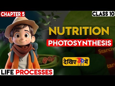 🔥NCERT Science Class 10: Chapter 5 - Part-10 | Life Processes In 3D | Nutrition | Photosynthesis |🔥