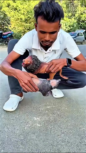 vip video (@vip__video1)’s videos with original sound - vip video