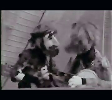 I grew up with the Muppets and it always made me proud as a kid to hear them playing my dad’s songs. Ironically, my drummer of 8 years, Gary Mallaber recorded many sessions with Paul Williams for Jim Henson back in the 70’s and early 80’s and is the personification of one drumming muppet. #animal #youdontmessaroundwithjim #jimcroce #ajcroce #ajcrocemusic #croceplayscroce #croceplayscroce50thanniversarytour #jimhenson #frankoz #jerrynelson #themuppets #garymallaber | A.J. Croce