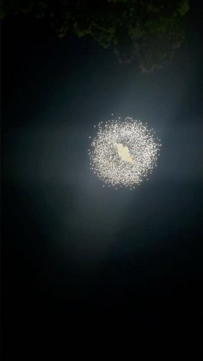 HCMF Loco 8inch Salute Shell Firework 🧨