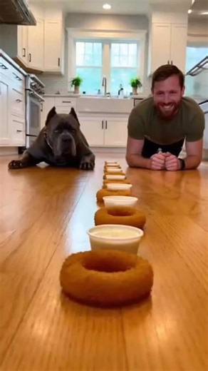 Doog Funs on Instagram: "The Ultimate Onion Ring Challenge: Man vs. Beast!The stakes are high and the rings are hot! Watch this hilarious showdown as a man takes on his massive dog in a high-speed onion ring eating contest. With five onion rings and dipping sauce lined up on the floor, it’s a race to the finish line. Will human technique win, or will the dog's sheer speed take the crown? Warning: things get a little messy (and a little spicy)! ​Hashtags ​#OnionRingChallenge #DogVsHuman #CaneCors