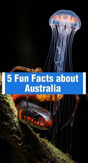5 Amazing facts about Australia | Fun #Facts #shots