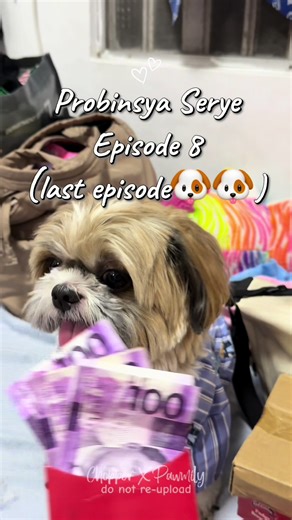 Probinsya Serye 🐶 Episode 8 ~ Balutin mo ako beybe at ang alamat ng beauty rest 🐾 #minivlog #dogsoftiktok
