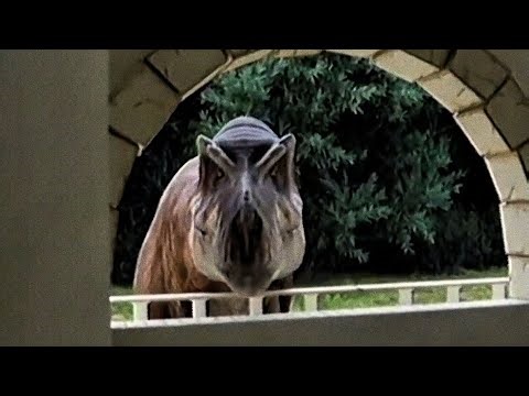 IT never Sleeps, Only Watches