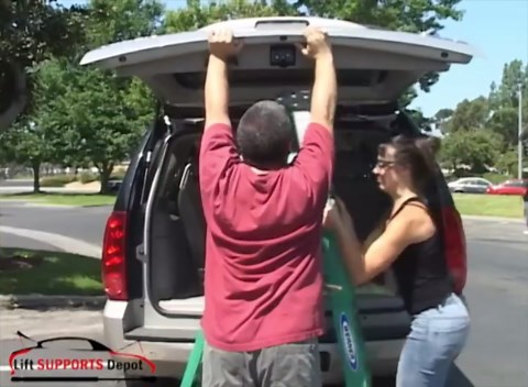 Lift Supports Depot Qty (2) Replaces Knaack 977-2PK Tool Box - Lid Lift Support, Prop Rod, Strut Support with Gas Spring