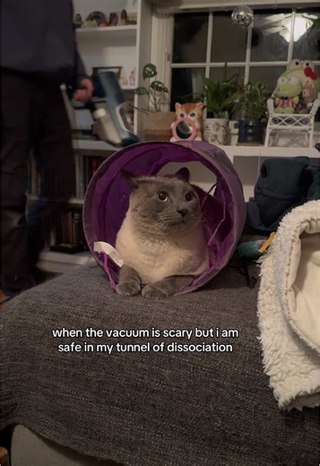 Pusheen Box Tunnel: A Safe Space for Halloween 2023