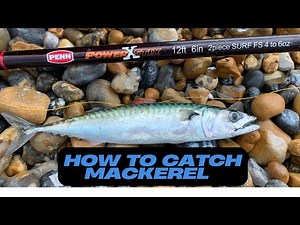 How To Catch Mackerel This Summer - EASY