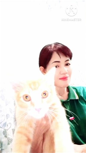 DJ BARANG ANTIK BERKELAS 🥰#SHORTS#DJVIRAL#DJTERBARU