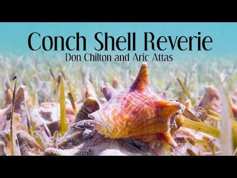 Conch Shell Reverie - Don Chilton and Aric Attas