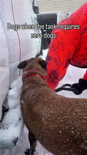 The tasks they assign themselves……