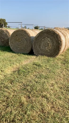 5.3K views · 354 reactions | We’ve been hauling and stacking hay for days now and still have a lot more to go. It was a great first cutting! #texasrancher #hayseason2024 #hayseason #haybales #hay #ranching #farming #agriculture | Texas Rancher | Facebook