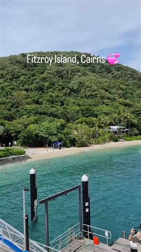 Your official guide to Fitzroy Island 🐚 on Instagram: "Fitzroy Island: Your gateway to the Great Barrier Reef. Snorkel vibrant coral gardens, hike through lush rainforest, and unwind on secluded beaches like the famous Nudey Beach. Adventure and relaxation on a tropical island. Plan your escape: https://visitfitzroyisland.com/ 🎥: @rezworldtravel #FitzroyIsland #GreatBarrierReef #IslandGetaway #Queensland #NudeyBeach"