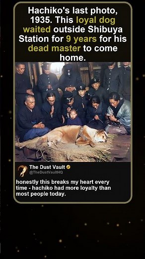 Hachiko's Final Photo 1935 Shibuya Station Tokyo Japan