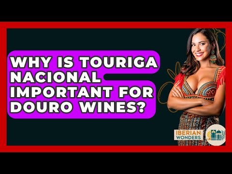 Why Is Touriga Nacional Important For Douro Wines? - Iberian Wonders