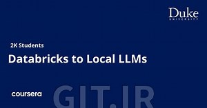 Databricks to Local LLMs