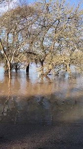 BRAZOS RIVER UPDATE: ROAD CLOSED AT COW CREEK BRIDGE ON CR 25. https://water.weather.gov/ahps2/hydrograph.php?wfo=hgx&gage=rost2 | Brazoria County
