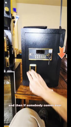 RXDSAFE Large Safe Box with Digital Keypad, Electronic Lock, Smart Alarm System, and Dual Security