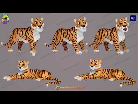2D Cartoon Tiger Animal Character Set - Animated Jungle Predator Poses