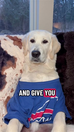 Twas the night before game day @Buffalo Bills 💙❤️🦬 #buffalobills #billsmafia #billsmafia4life #playoffs #fyp