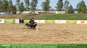 30K views · 493 reactions | 헠헮헿혁헶헻혀 헦혁헼헰헸 헛헮혂헹헮헴헲 헢헣험헡 헥헗ퟮ COUNT DUCKULA (by Acres Destiny) & Bailey O'Dell, both chips off the old block! Brilliant drafting! Enjoy what is the top horse work score of the show to date: 92 (23 65 4). Content produced & supplied by #nutrienequine #aenlivestream Tamarang | Select Sires | Facebook