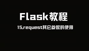 Flask教程：request其它参数的使用