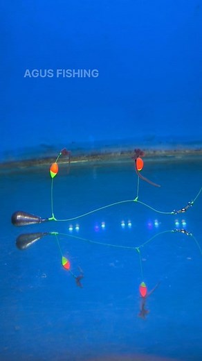 Bottom Fishing Rig 2 Hooks with Float #fishing #tutorial #mancing #fyp #foryou | Agus Subarna