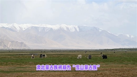 甘肃省酒泉市肃北蒙古族自治县