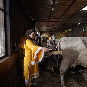 Gaye Ne Diya Baby Ko Janam | Armaan malik