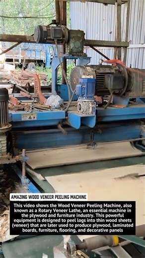 Amazing Wood Veneer Peeling Machine | Industrial Plywood Production Process