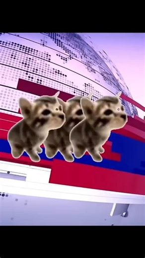 Stinky on Instagram: "PEENAR News 日本利用压电瓷砖将脚步转化为电能。这些瓷砖捕捉来自你脚步的动能。当你行走时,你的重量和动作会对瓷砖产生压力。瓷砖会轻微弯曲,从而产生机械应力。瓷砖内部的压电材料将这种应力转化为电能。每一步都会产生少量电荷,而数百万步结合在一起就能产生足够的电力来驱动LED灯、数字显示屏和传感器。在像涩谷车站这样繁忙的地方,每天大约有240万个脚步为这一系统作出贡献。这些电能可以被储存或立即使用,从而减少对传统电力来源的依赖,并支持可持续的城市基础设施。这种方法将日常运动转化为实用的可再生能源#日本 # 知识 #事实 #你知道嗎 #推し #科技 #创新 #历史 #技术 #实验 #热门 #viral #cat #funny #news #fyp #didyouknow"