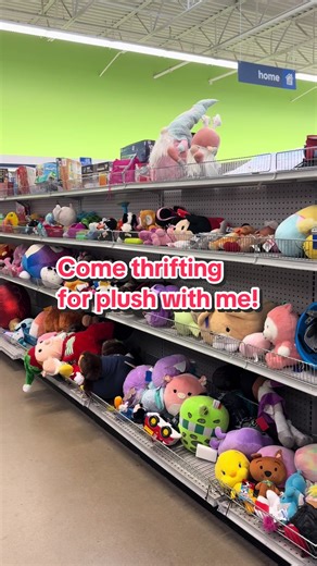 Thrifting for Plushies: Build-a-Bear Finds!