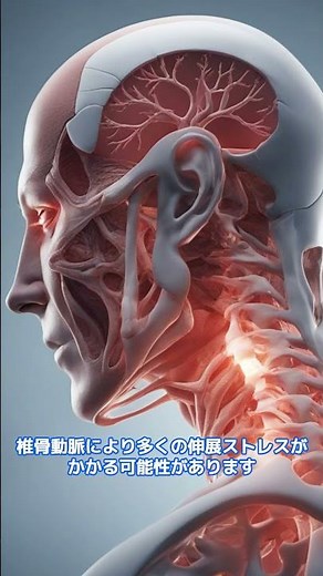 頸動脈と椎骨動脈