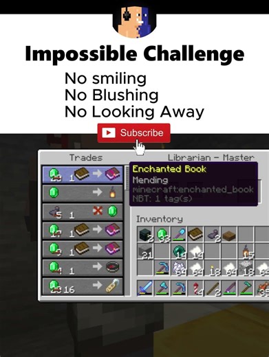 Impossible Challenge || If you lose You sub || #minecraft #gaming #memes #tecnoblade #funny