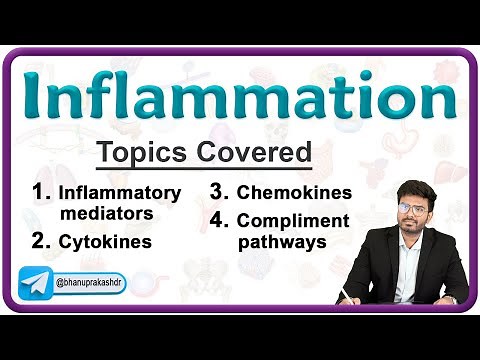 Chronic Inflammation || Wound Healing & Granuloma - Pathology Lecture 4
