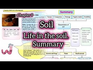 Life in the soil | chapter 9 Soil summary | soil summary | sandy, silty, clay, loam soil #fypシ゚viral