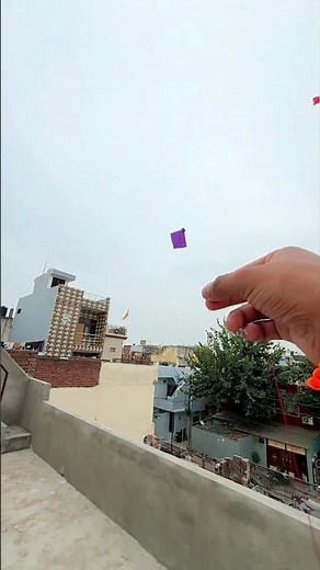 Kites Soaring High in the Sky Freedom in Flight ✈️ | KITE #kitelover #kiteflying #shorts #yt