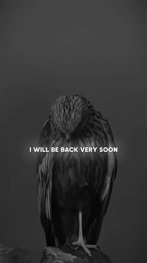 Eagle's Epic Comeback: I'll Be Back Soon! 🦅