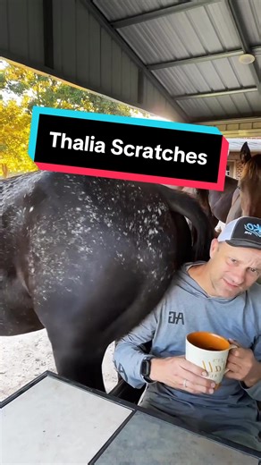 Funny Horse Ranch Pranks Gone Wrong