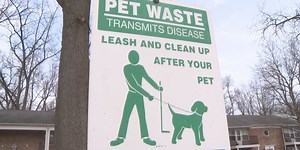 Consumer Reports: The best gadgets and techniques to scoop that dog poop