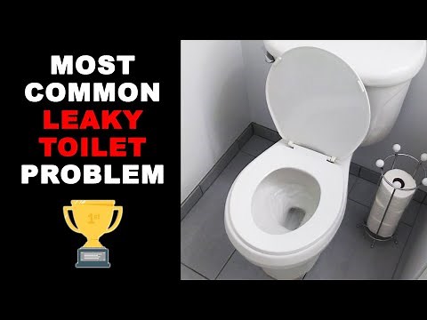 Most Common Leaking Toilet Problem and How to Fix It