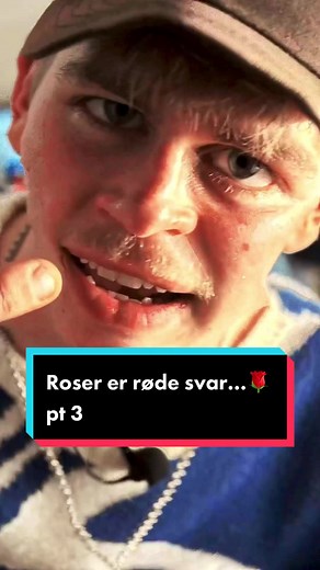 Sjove og underholdende svar på roser er røde, violer er blå digt