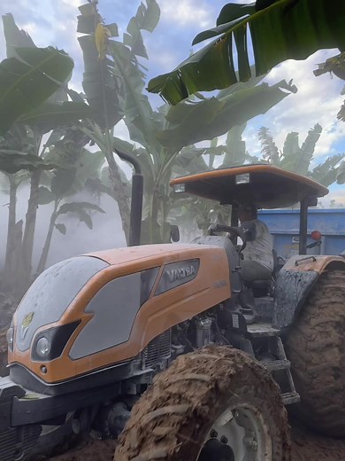 Aplicação de calcário🌱🚜 #agro #roça #viralvideos #fypp