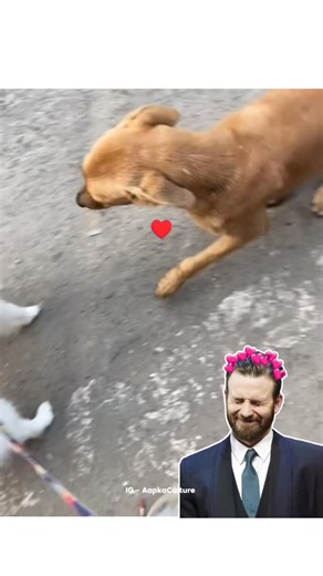 @aapkaculture on Instagram: "在日本，研究人员正利用智能人行道将日常活动转化为清洁能源⚡。这些道路内嵌特殊的压电材料，可以从行人的脚步中收集动能。当人们行走、奔跑或跳跃时，路面会轻微变形，从而产生机械压力。压电晶体将这种压力转化为电能🔋。 这些能量可用于照亮路灯、为公共显示屏供电，甚至监测行人流量。这种技术不仅减少了能源浪费，还展示了未来城市的无限可能🌍。 在东京、京都等城市的试验区，人们的每一步都在为绿色地球贡献力量💚。科技让生活更环保，也让每一个脚步更有意义✨ #日本 #科技 #创新 #可持续 #绿色能源 #未来城市 #环保 #知识 #事实 #推荐 #你知道吗 #技术 #实验 #热门"