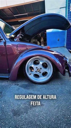 Catraca mexicana no ajuste ideal
