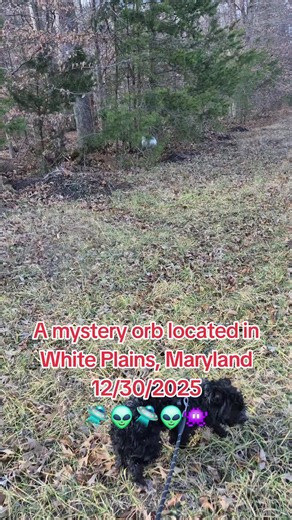 Now the wind is blowing and the object is still not moving #ufo #uap #maryland #whiteplainsmd