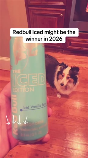 Redbull iced might be the winner for 2026. Our recycled Redbull candles are a must have for any energy drink lover. These make the perfect gift to surprised a loved one who is hard to shop for. Our custom cotton candy scent matches this flavor perfectly. #redbull #iced #scentedcandle #perfectgifts #candleshop