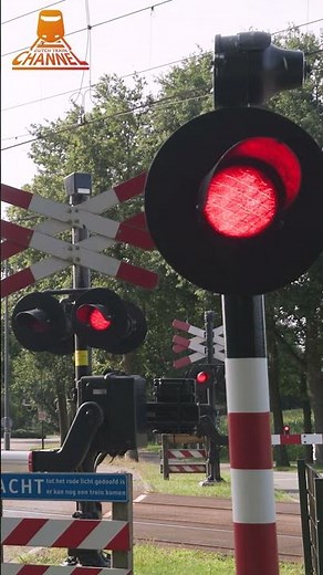 Dutch Railroad Crossing at Rosmalen // Netherlands // Dutch trains