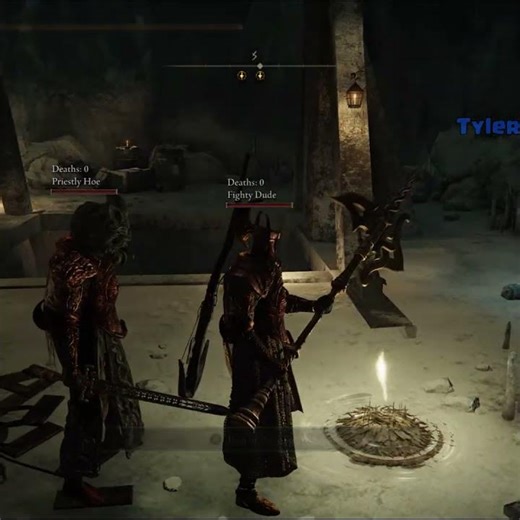 Best Bug in Elden Ring Seamless Coop